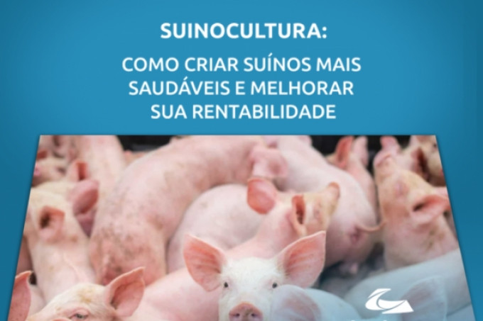 Saiba como criar suínos mais saudáveis e melhorar sua rentabilidade!