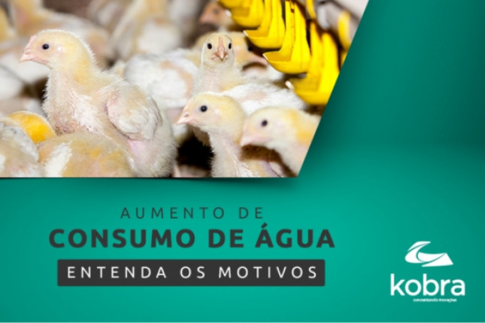 A importância do consumo de água em períodos de estresse calórico das aves